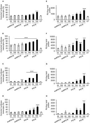 Fine Tuning of Phosphorothioate Inclusion in 2′-O-Methyl Oligonucleotides Contributes to Specific Cell Targeting for Splice-Switching Modulation